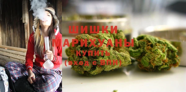 прущие крисы Корсаков